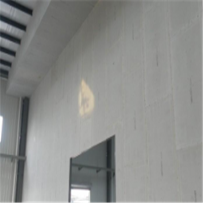 洛南宁波ALC板|EPS加气板隔墙与混凝土整浇联接的实验研讨